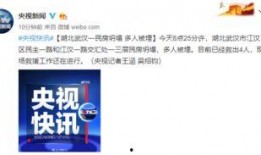 今日武汉最新爆料,揭秘城市动态与热点事件