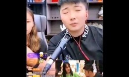 爆料低俗网红视频大全集,网络乱象背后的真相