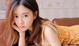 白鲨爆料菲姐是真的吗视频,菲姐真相揭秘，视频揭露惊人内幕