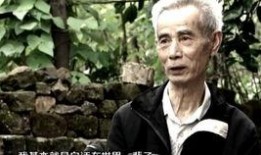 精彩热门爆料视频在线观看,精彩瞬间在线观看