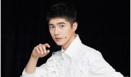 娱乐大爆料靳东是哪一期,靳东惊喜亮相，揭秘哪一期精彩瞬间