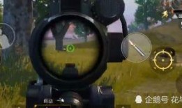 手雷皮肤爆料怎么做视频,打造独特视频，解锁全新玩法！