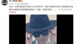 雪鹰爆料实锤了吗视频在线观看,揭秘事件真相，在线观看解析