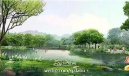 石家庄公园爆料最新消息