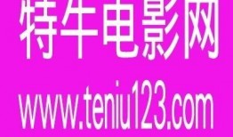 特网片在线观看网,在线观看的奇幻之旅