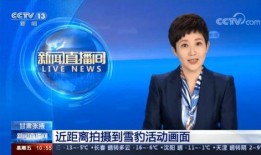张掖记者爆料新闻视频,揭秘新闻背后的真相