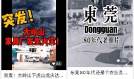 东莞视频爆料,揭秘城市生活百态