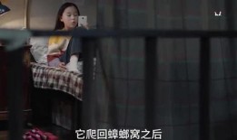 年轻小姐姐爆料视频,揭秘幕后真相