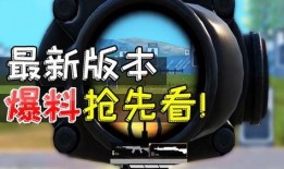 和平精英鸡哥爆料视频,揭秘游戏内幕与精彩瞬间