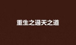 重生之道最新爆料,揭秘神秘力量，探寻命运转折点