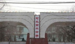 衡水中学最新爆料,揭秘校园风云背后的真实故事