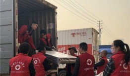 城西志愿者爆料事件视频,视频揭露惊人真相