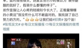 郑爽新闻爆料视频,揭秘明星私生活背后的真相