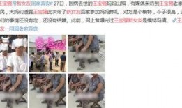 王宝强爆料狗仔原视频,还原原视频背后的故事