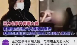 李靓蕾视频爆料大全,揭秘事件背后真相