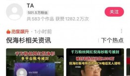 茶叶哥爆料倪海杉视频播放,倪海杉视频播放背后的惊人真相