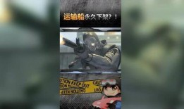 鲸鱼大哥爆料视频在线观看,揭秘视频背后的精彩瞬间