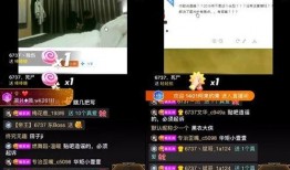 实拍爆料小视频,揭秘小视频背后的真实故事