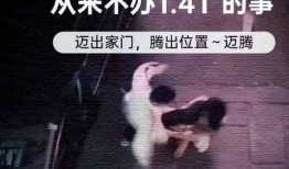 打架爆料视频大全最新,一幕幕冲突瞬间，揭秘街头暴力真相