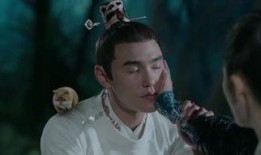 扶摇在线观看酷,在线追剧，领略古装仙侠的奇幻魅力