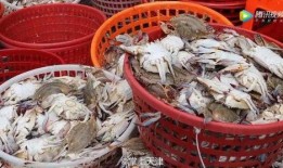 天津水产爆料事件视频,揭露水产市场惊人内幕