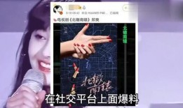 郑爽新闻爆料视频,揭秘明星私生活背后的真相