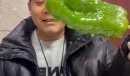 山东网红团队吃瓜视频,趣味视频引网友热议