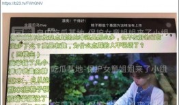 丹东凤城爆料事件视频最新,真相与争议交织的舆论漩涡