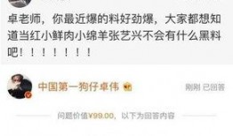 卓伟爆料娱乐圈视频,娱乐圈幕后真相大揭秘