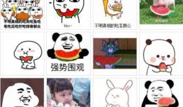 每日吃瓜免费看,免费畅享娱乐盛宴