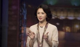 金星爆料骗子视频,揭秘网络诈骗背后的惊人真相