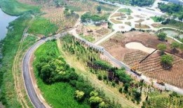 黄河公园爆料视频大全,揭秘公园里的精彩瞬间