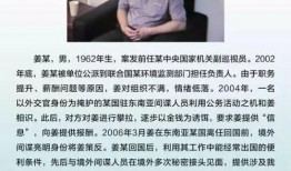 最新爆料的间谍有哪些,揭秘神秘间谍网络