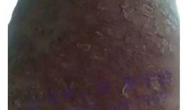 皮肤皮肤病爆料最新消息,皮肤皮肤病研究进展与防治策略解析