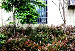 孝昌最新爆料新闻,最新爆料揭露惊人真相，事件详情即将揭晓