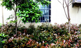 孝昌最新爆料新闻,最新爆料揭露惊人真相，事件详情即将揭晓