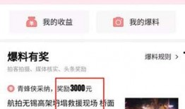 怎么给今日头条爆料新闻,如何高效爆料新闻，助力真相传播