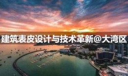 世界爆料大王深圳湾新闻,世界爆料大王深度解析