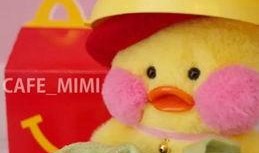 娱乐爆料小黄鸭事件视频,娱乐爆料背后的真相揭秘