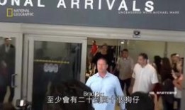明星新闻爆料讲解视频,视频爆料背后的真相与内幕
