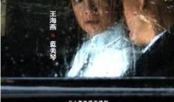 誓言无声在线观看,揭秘特工传奇，在线观看震撼来袭