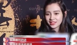 杨颖女友爆料视频大全,真相与谣言的交织