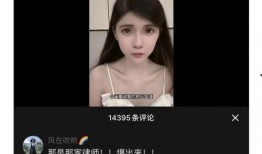 百万网红被爆料视频,揭秘网络红人背后的真相