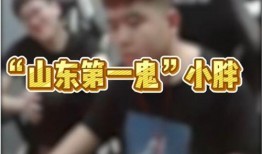 白鲨爆料小胖视频在线观看,小胖视频在线观看背后的故事