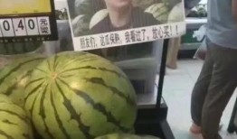 网暴网红吃瓜图片大全,网红吃瓜图片大全背后的真相与反思