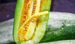 潍坊吃瓜网红是谁,瓜界风云人物