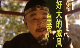 雍正王朝视频全集在线观看