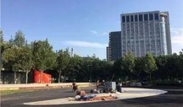 石家庄公园爆料最新消息