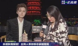 鹿晗新闻爆料视频播放下载,揭秘幕后真相