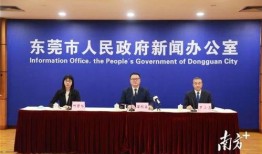 东莞大朗新闻爆料电话,揭露城市脉搏，倾听民声心声